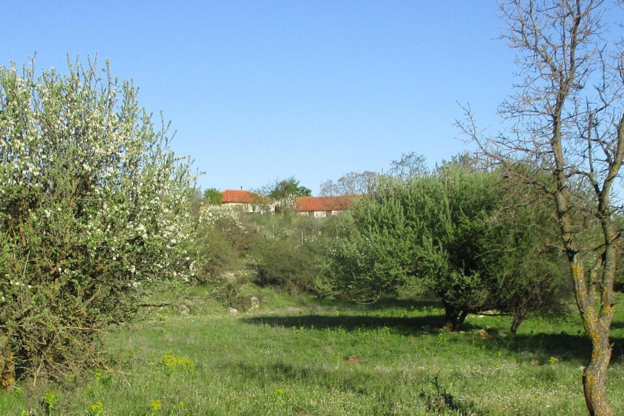 Stone House In A Quiet Landscape, Leonidion Villa Exterior foto